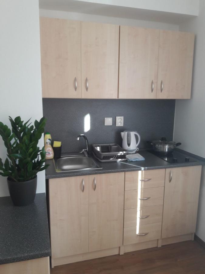 Apartmany Lipa ターボル エクステリア 写真