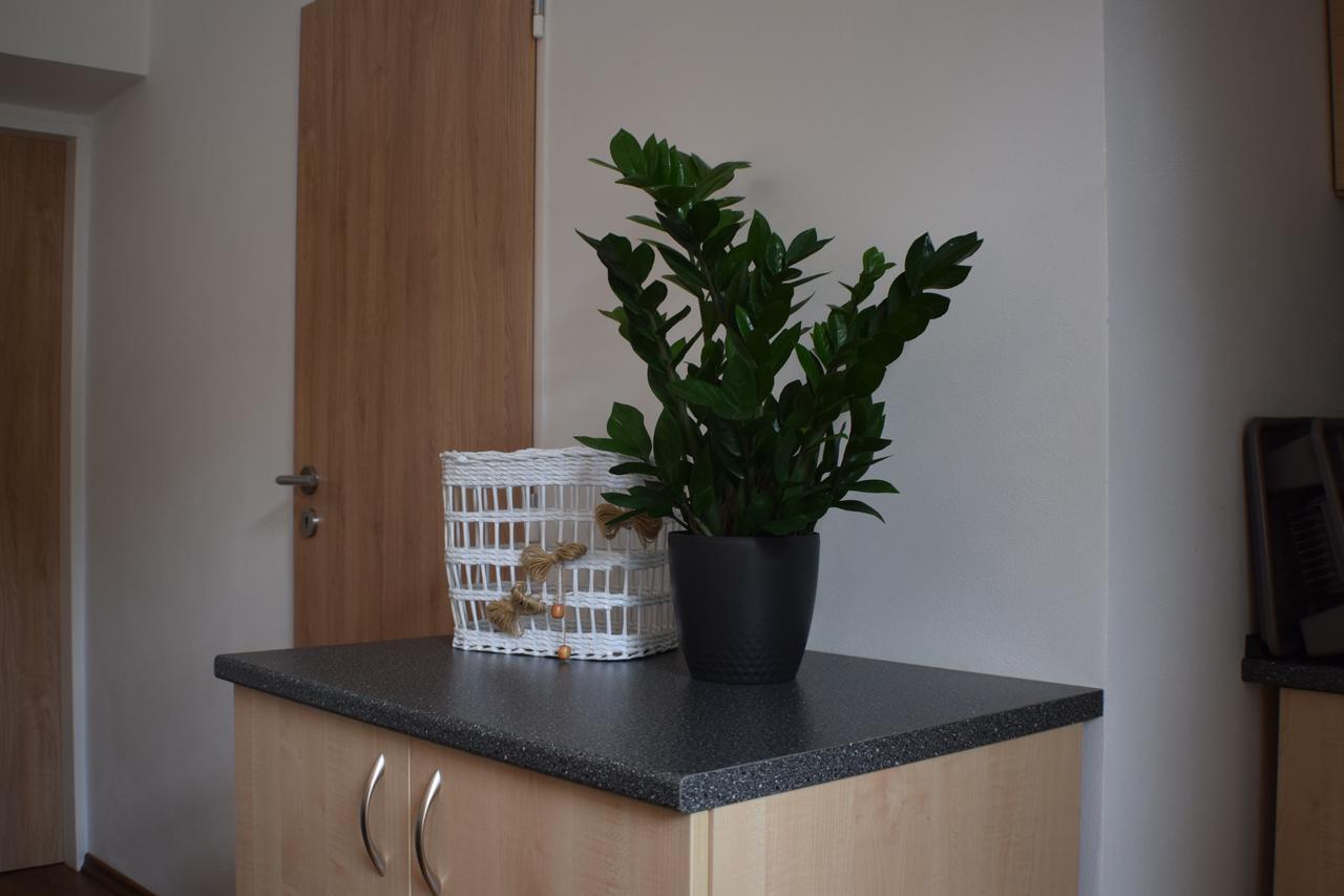 Apartmany Lipa ターボル エクステリア 写真